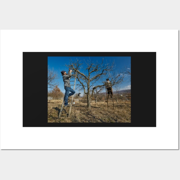 Pruning apple trees Wall Art by naturalis